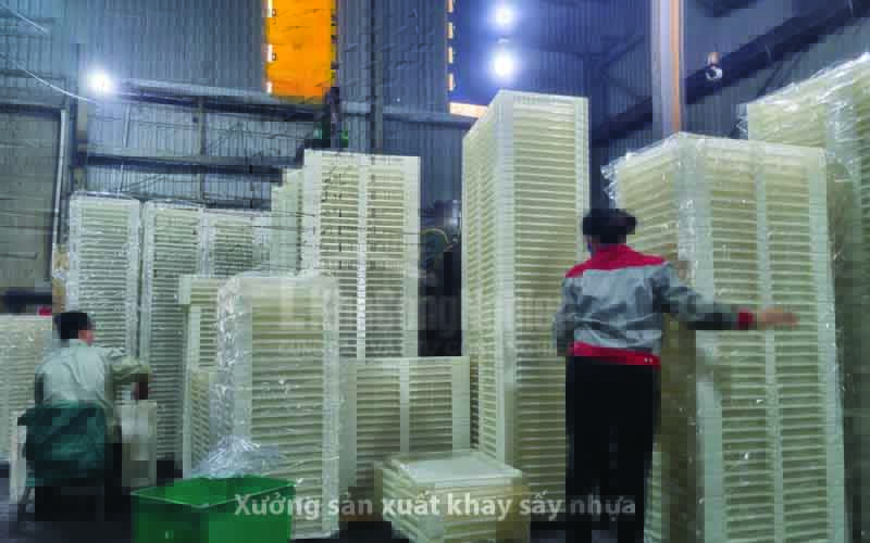 Khay sấy nhựa – Giải pháp tối ưu cho sấy thực phẩm, nông sản, dược phẩm