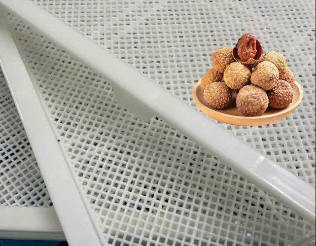 Khay sấy vải kích thước 80x60cm