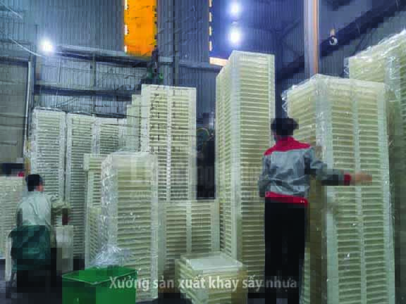 Khay sấy nhựa dùng cho sấy thực phẩm, nông sản, dược phẩm