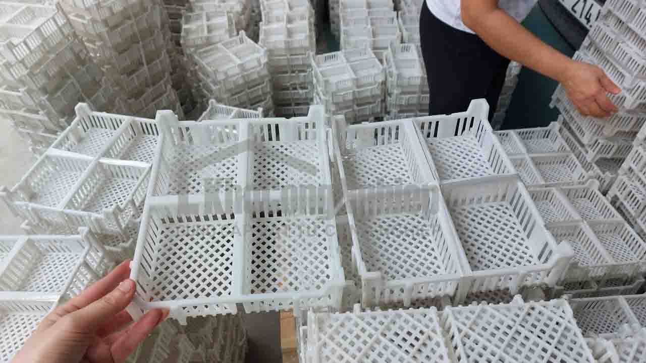 Khay nhựa sấy miến - mỳ - bánh phở - Ảnh 3